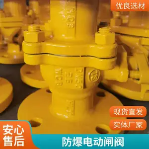 ���ڲ���ֵ綯��ֹ�� �������ܿ����� �������� ������