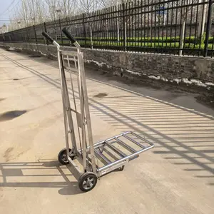 ����ַ������ֶ����Ƴ���ֳ���������Ƴ��������������Ƴ�