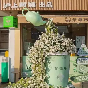 ������滨 EVA���ͻ��� �����ֵ��ܳ��� ������ֲ������������ܳ���