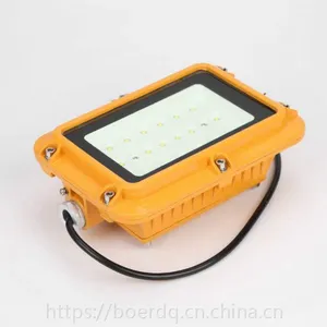 LED系列100WLED防爆节能灯规格款型号