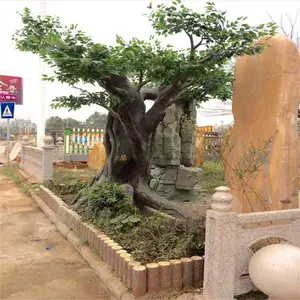 ������ ����������� ��Ӧ԰�ַ�����