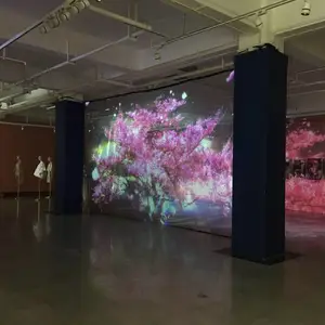 各种商业演出全息设备婚礼全息设备搭建团队提供