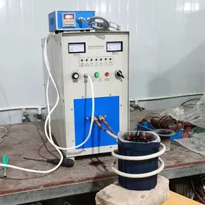 ��Ӧ���RAG-15KW��Ƶ����¯ С��ʵ���ҽ��������ۻ��豸