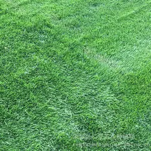 ���� �� �߲�Ƥ ***��ƺ ���㶹 ���� ��Ҷ����