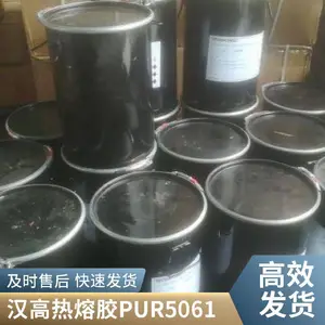�������۽��;��Ժ�TECHNOMELT PUR 5061 ������װ