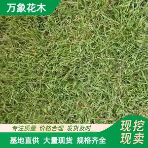 ���Ʋݲ�ƺ��Ƥ �������μ� �ͼ�̤��ˮʪ�� �˶�������