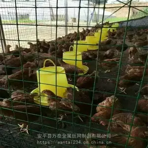 ��̩������ Χǽ�� Χǽ��˿��