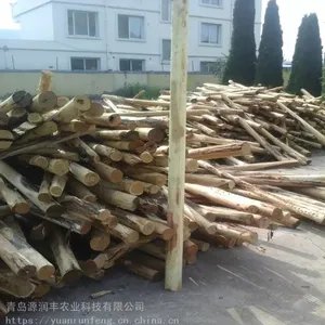 常年销售槐木原木槐木桩槐木制品