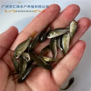 ����������س��ڹ�Ӧ�̻������� �ɻ������� ������ �������� �ɰ������� ������ �ɻ�***