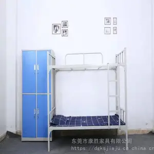 ���µ������������Ͳ������������������ܴ�������˫������