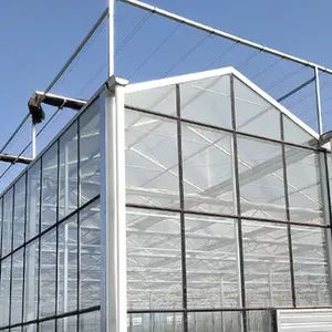 安阳博利农业科技有限公司
