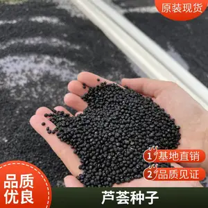 ���������κ��� 6 �� F1 «������ ����ϵ F1 �� ������ǿ����ƽԭ«�����ֹ�Ӧ