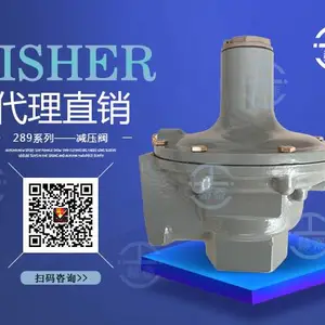 289L燃气安全放散阀泄压阀低压安全阀美国FISHER代理直销