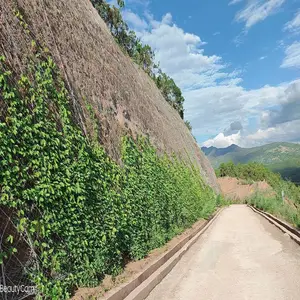 边坡防护网山体滑坡被动主动sns柔性钢丝绳防落石护栏网昆明厂家