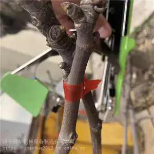 ���ѷ������������֦�� �ֶ������������� �߲�����������