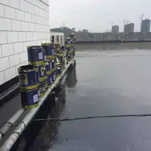 ��˹�������ˮ 911�۰�������Ϳ�� ������������ˮ�ز�©����