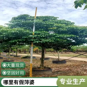 ��Ƽ�Ź����ȫ�㶫�����л��ز��ؼ۸����۸���˳ɻ�***��Ƽ��