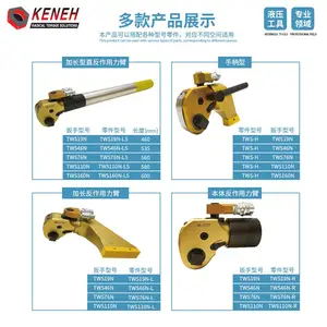 KENEH����Һѹ����TWSϵ��Ť�����־�׼�ᱡ������ĸ��˨��װ