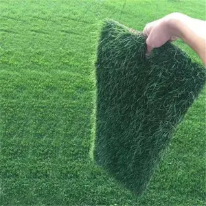 果岭草草坪草皮 四季青 好打理 操场高尔夫球场 别墅区地被栽植