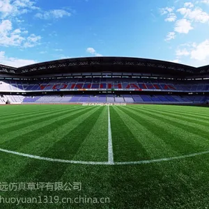 山西球场仿真草坪,直供幼儿园草坪,***