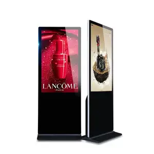 ����55����ع��� �Ƶ����ְ�ܴ�����ѯһ���