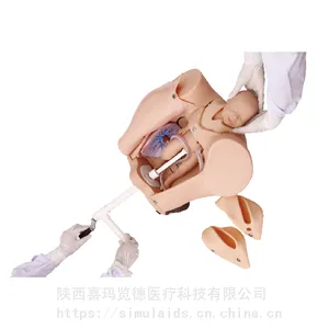 喜玛览德 ***分娩机制综合技能操作模型