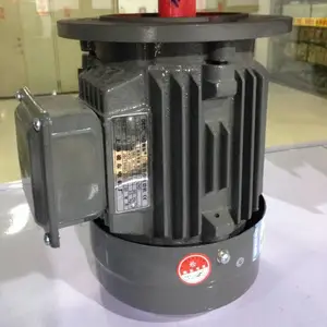 �۵¶������ YE2-132S2-2 7.5KWB5 �����첽�綯��