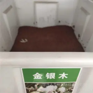 ���� �����²�ժ ����ľ���� ��С�ɿ�� �ṩ��ֲ����