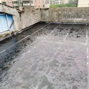 �������������©�������̶�