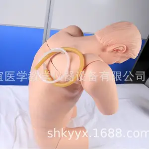 ��Ӧ������KAY-CK812��ǻ������������ѵ��ģ���ٴ��ۺ�ר�Ƽ���ѵ��ģ��