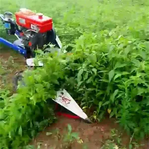���Ƹ���� ũ�ò����ո�� С���i���ݸ�ɹ��