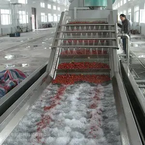 大型气浴清洗机流水线 大姜清洗机供应厂家