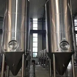 汤宸800L啤酒设备发酵罐 精酿啤酒设备