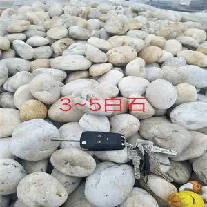 荣茂精选鹅卵石 石园林绿化鹅卵石 黑白鹅卵石报价