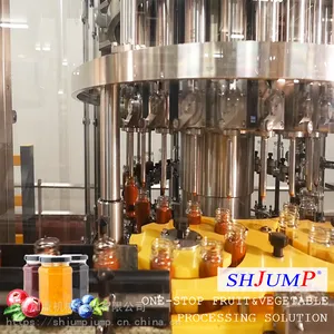 果酱加工生产线 小型果泥果酱加工设备 混和果蔬果酱加工机械