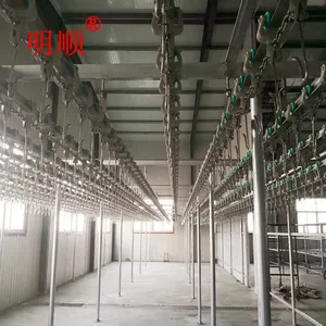 家禽宰杀生产线 淘汰蛋鸡屠宰分割线现场图片 ,明顺机械售后有保障
