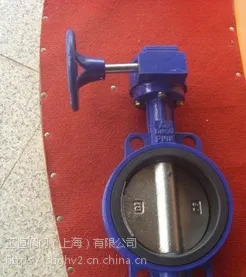 D371J-10蜗轮对夹全衬胶蝶阀