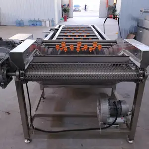 �ٴ���е����ʽ������ϴ�� �ⶹ��ë��������ϴ��