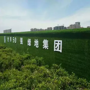 草皮围挡价格多少一平方假的草皮叫什么 密山围挡墙面草皮