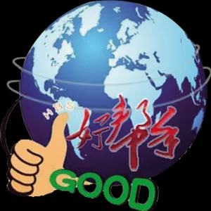广东好帮手智能科技有限公司