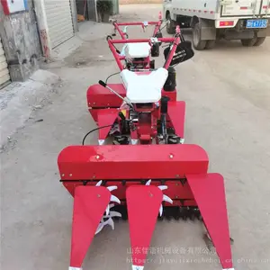 �����Ŀݲ��ո�� ţ��ͷС�͸�ɹ�� ˫�Ų����ո��