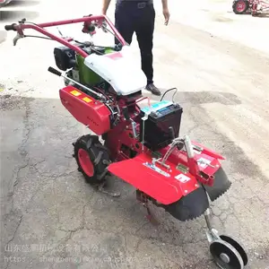 ���ʹ�������� ��԰������ �ַ���԰������