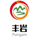 湖南丰岩园林景观有限公司