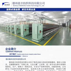 德州晨丰纺织科技有限公司