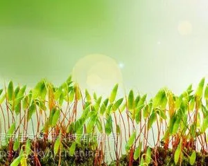东莞大岭山危险废物废渣处理 一站式服务佳成环保