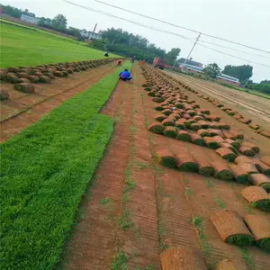 �����󶬲�-�����¼�-�󶬲��ͻ�����