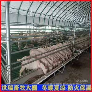 山羊养殖棚搭建 保温羊棚建设 钢架养羊棚施工厂家