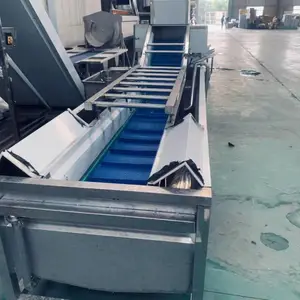 如此高效卫生的净菜加工生产线你确定不选吗?