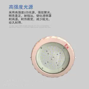 ��ͨ LED������ Ͷ��Ʒ���ƻ������������100W200W