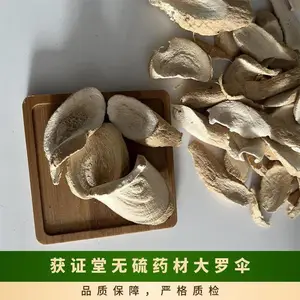 ��֤������ҩ�Ĵ���ɡ ������ҩ��ƽ��ľ ԭ���ϰ˽ǽ�����������